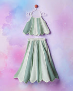 Scallop Set